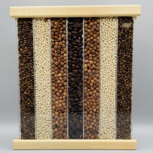 Large Brown Sea Hotplate